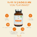 jiaogulan-2-png_280x280.png