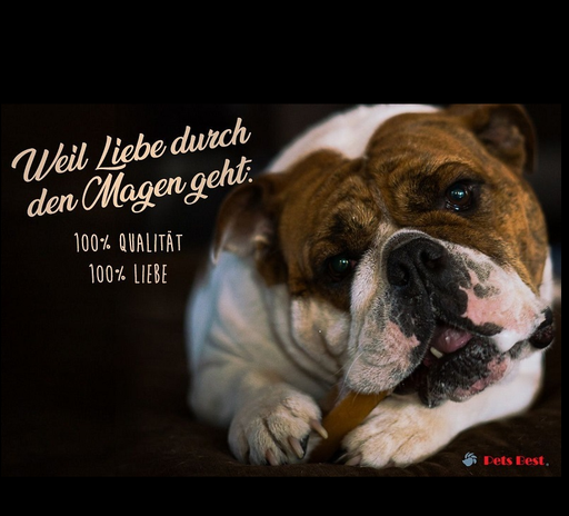 [PB211152] Pets Best Straußen Sehnen 125g